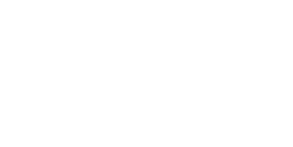 Estrategia VIVE
